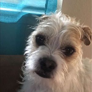 Meet your Posher, Cassandra